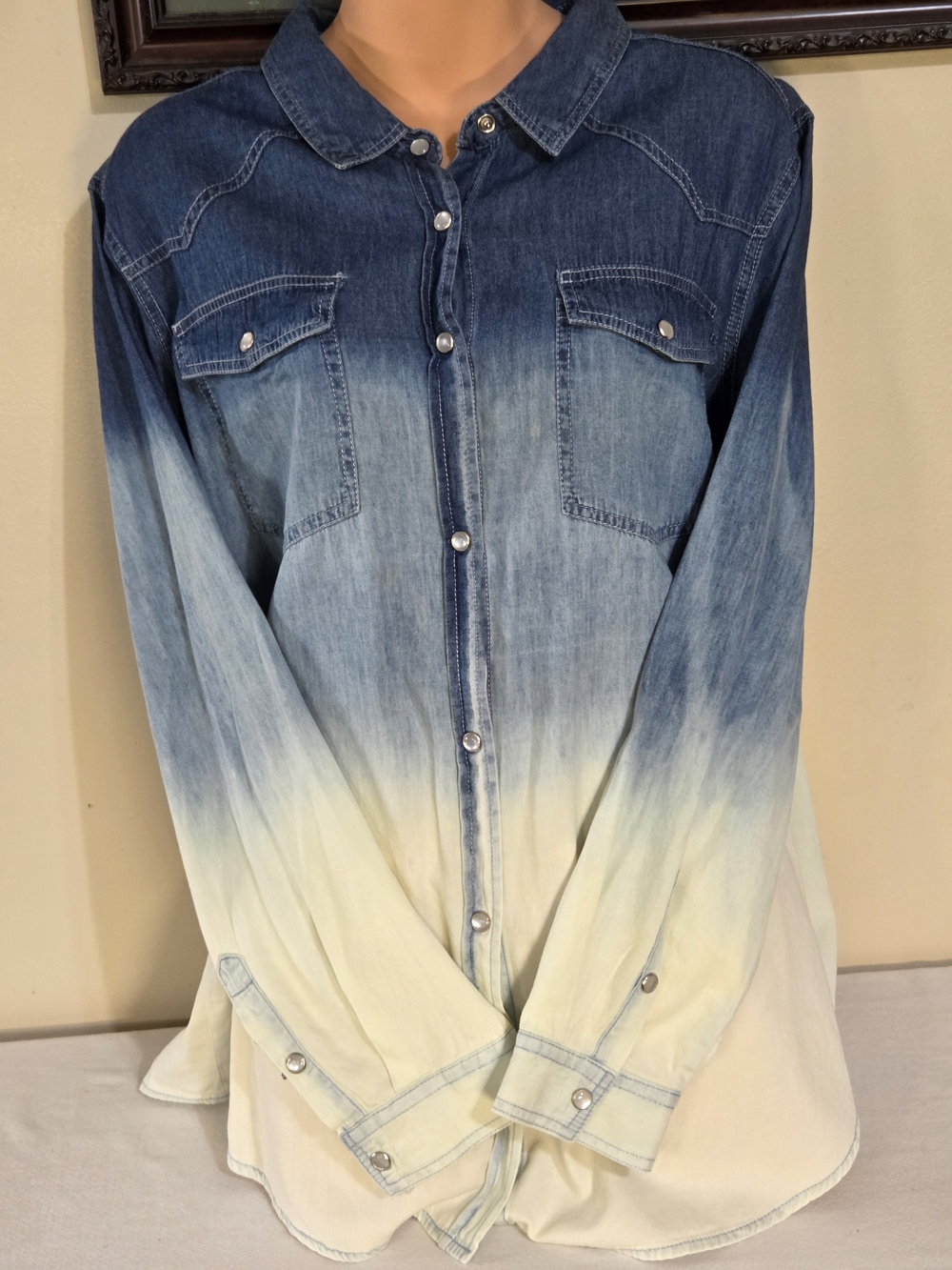 Women's Ombre Denim Button-Front Shirt Blue to Cream -Brown Fox Fashion On Back